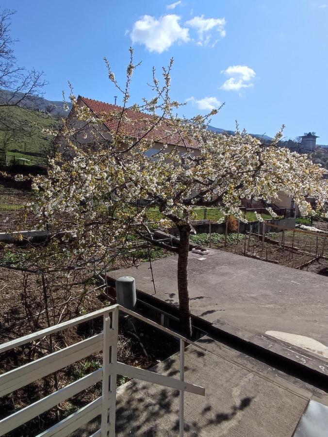Apartman Bor Livno Eksteriør billede